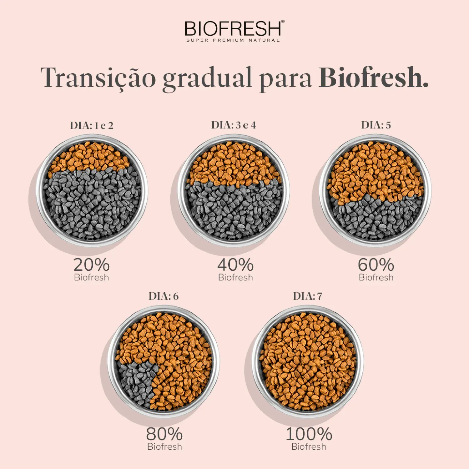 Racao Biofresh Frango quantidade diaria-03